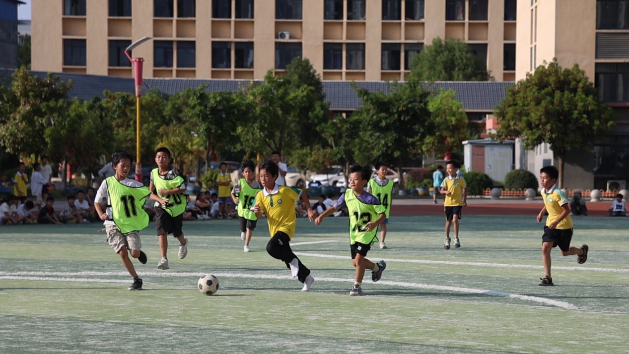 江华已有 江华已有